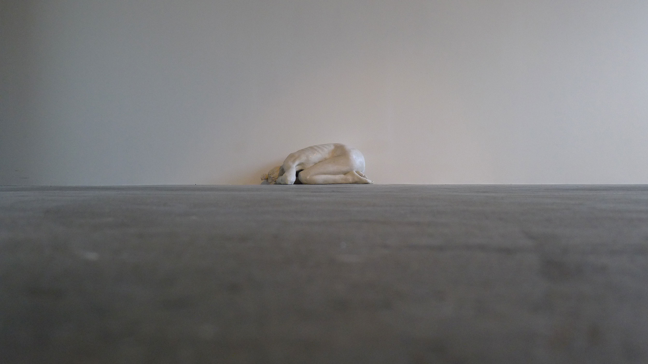 Curled Woman, 2011