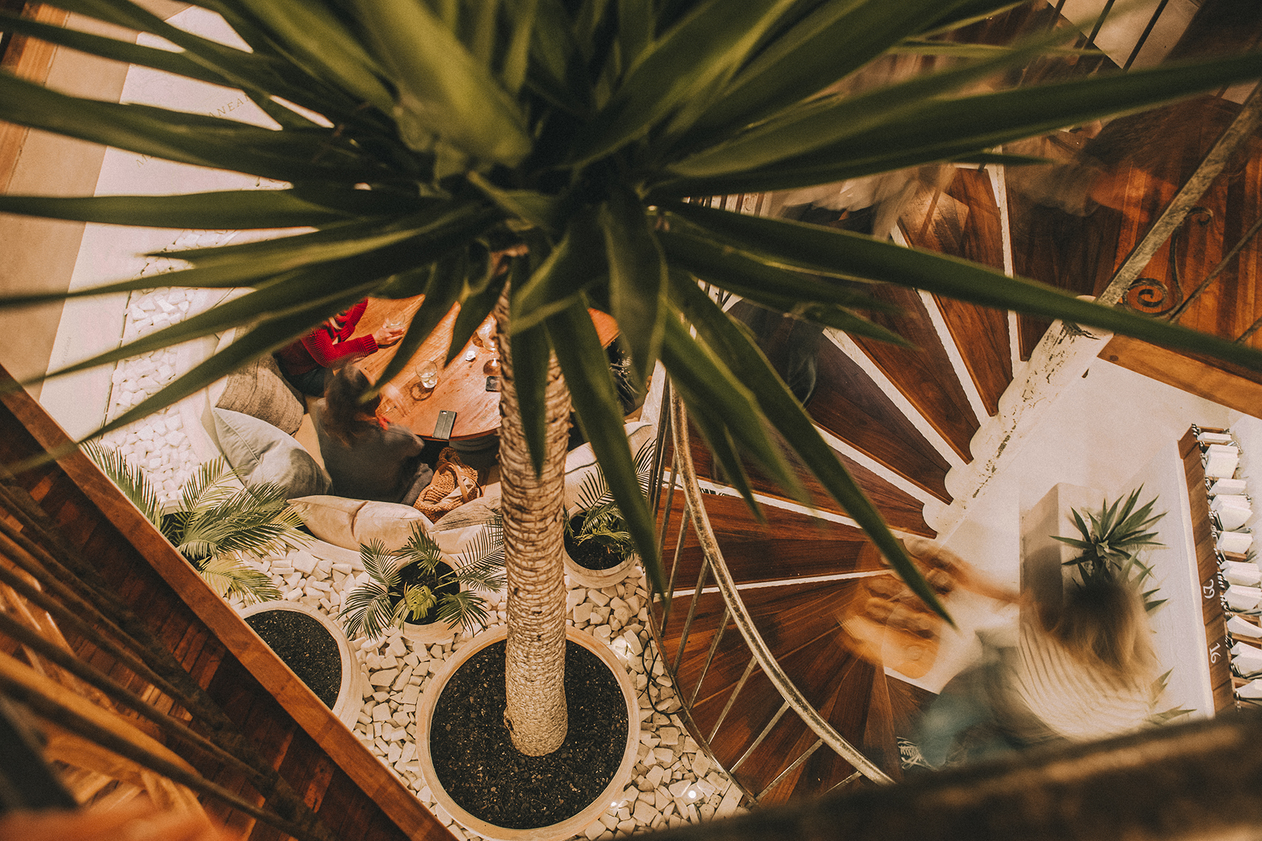 SMALL 07_mez19_1629.jpg