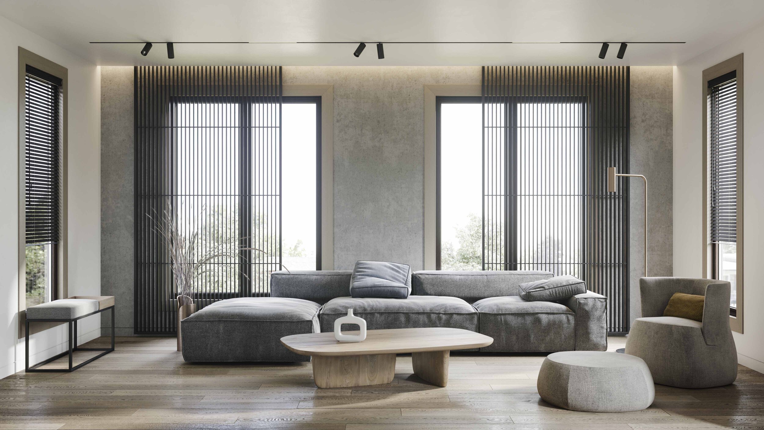 Gray sofa modern style