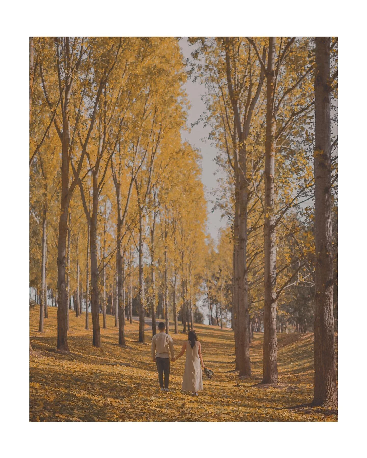 .
A &amp; E
.
April &lsquo;19
.
#melbourne #prewedding #photography #preweddingphotos #studioarchitectwanders #igersmelbourne #instagram #wedding #nikon #nikonphotography #isteakwithlau #wahlaumarriedleow #autumn