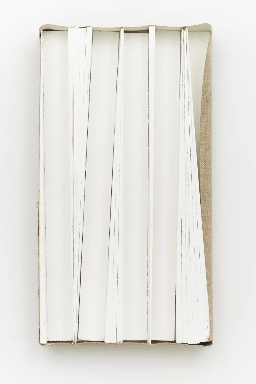 Joseph Montgomery, Image Two Hundred Twenty Three, 2014 Acrylic, linen, wood