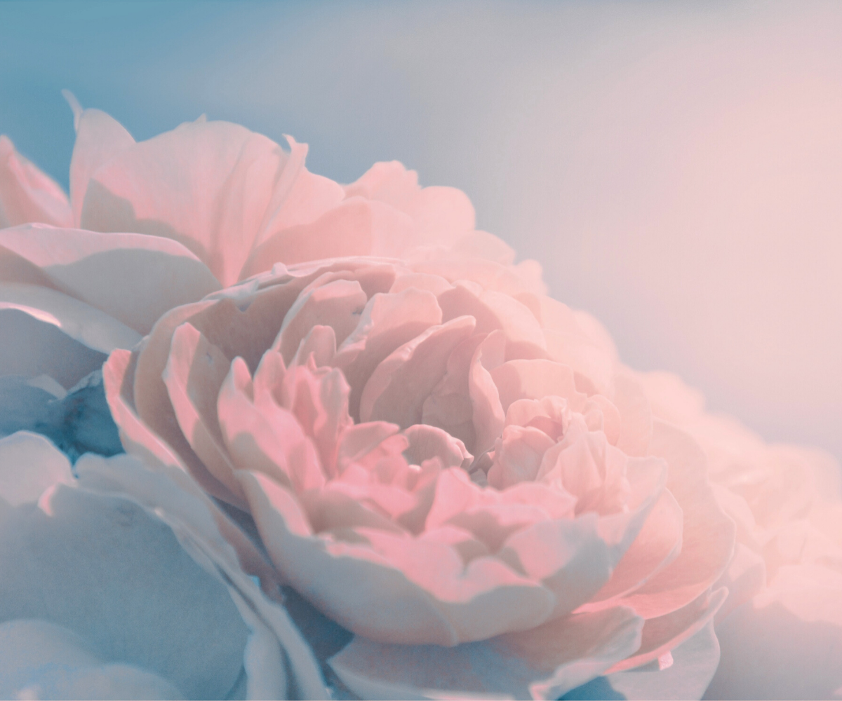 BLOOM Ladies' Conference - Rise Up!