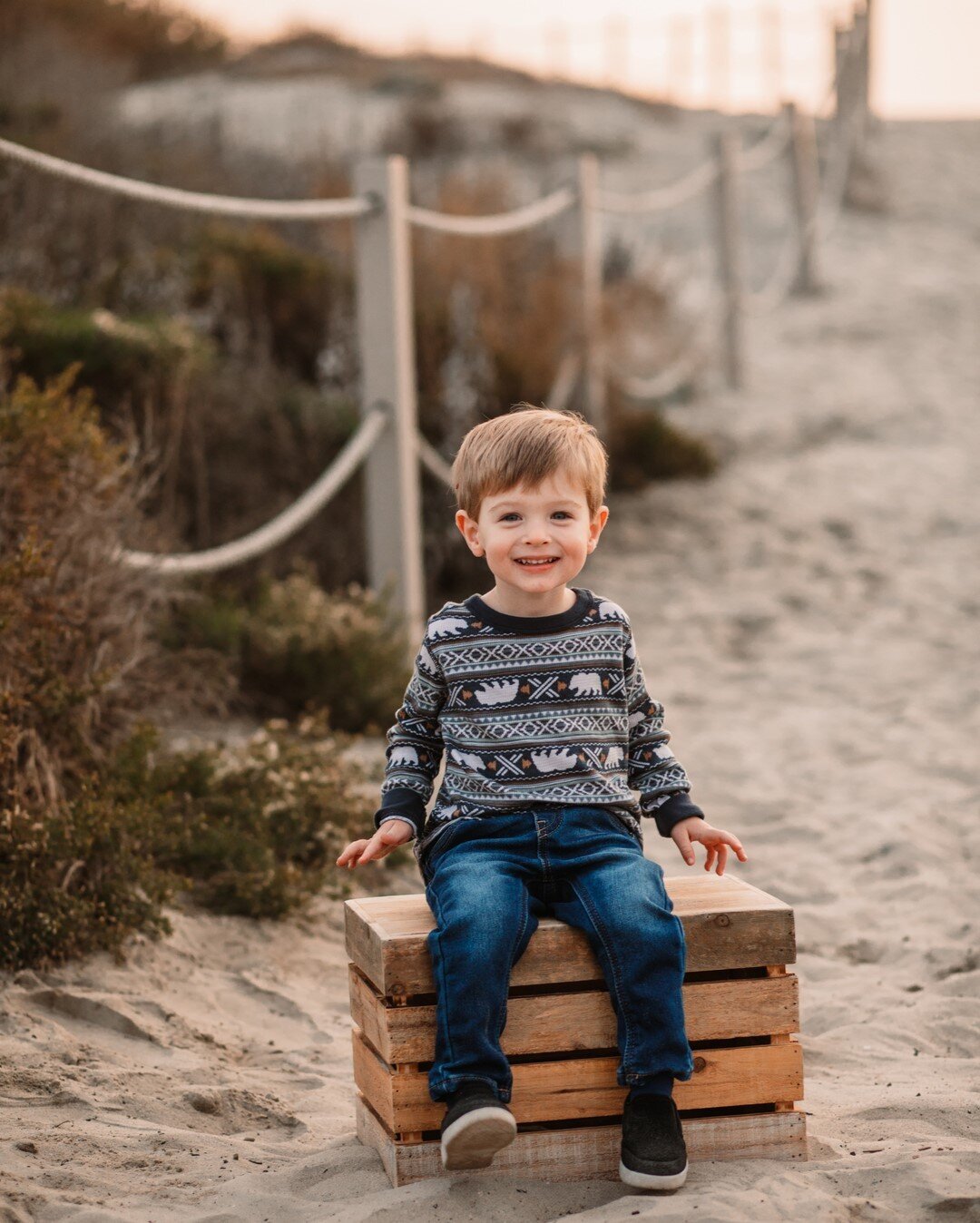 Boys can be soooo hard to dress for shoots! I have one myself, and I know how limited we are on cute boy clothes without pictures of tractors or dinosaurs on them... hah! This family did great dressing their kiddo for family photos this past winter! 