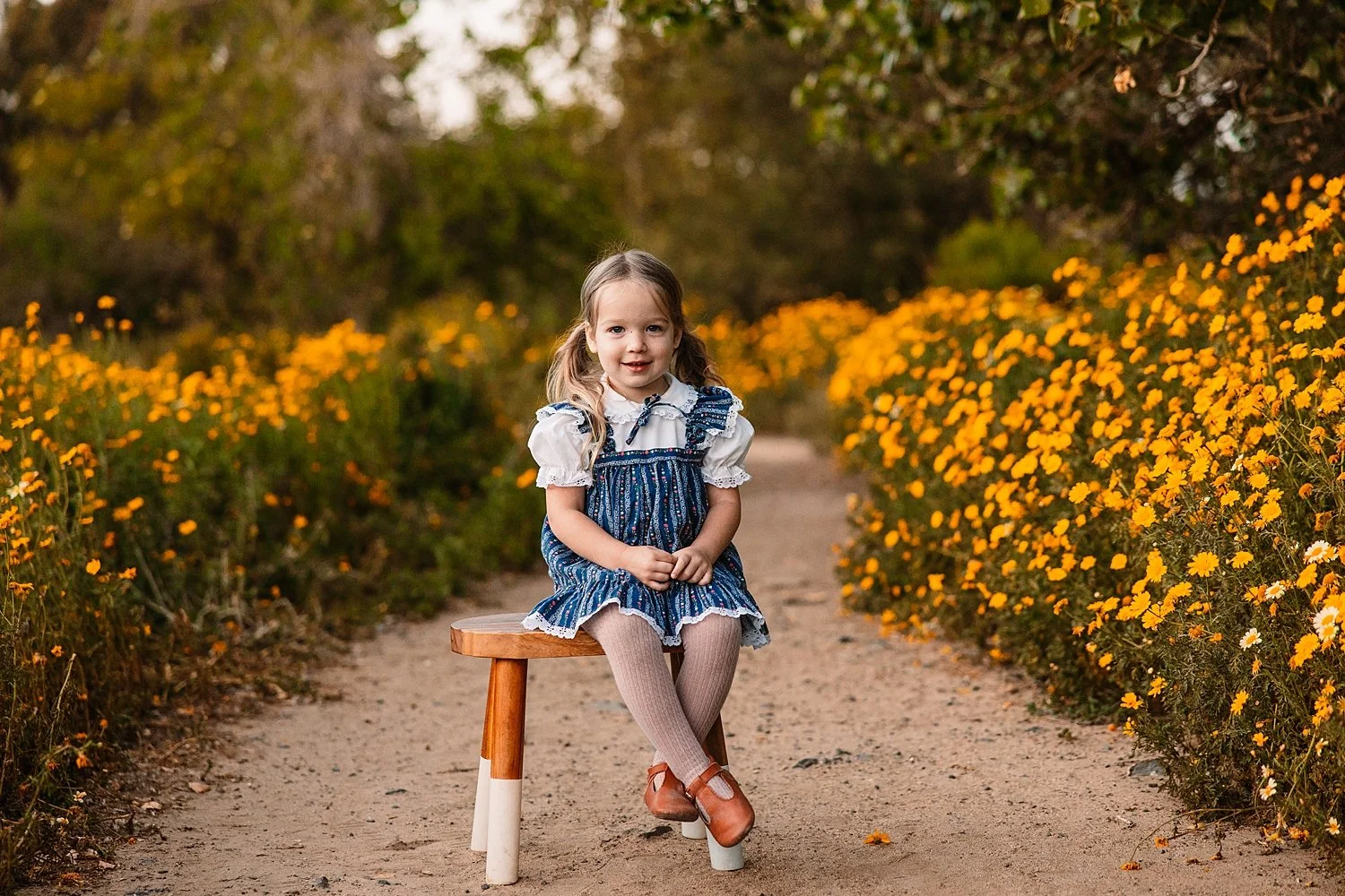 San Diego Wildflowers | Family Photographers in San Diego