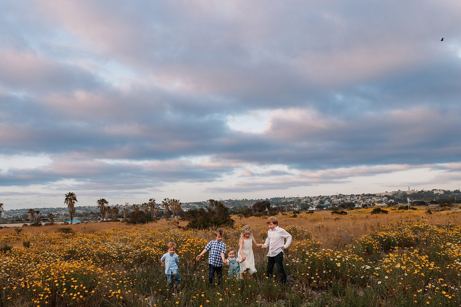 san-diego-wildflower-mini-sessions_0058.jpg