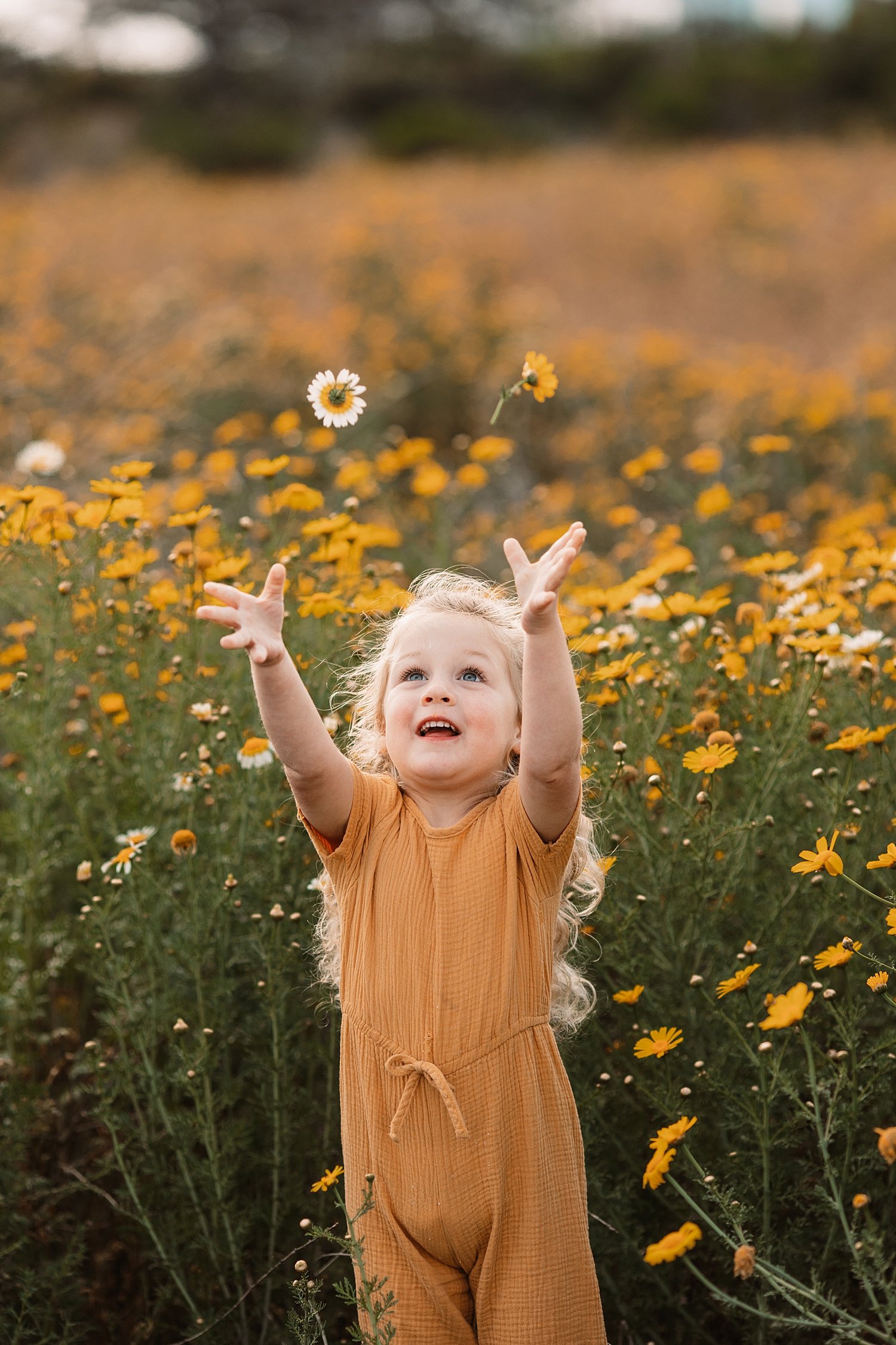 san-diego-wildflower-mini-sessions_0115.jpg