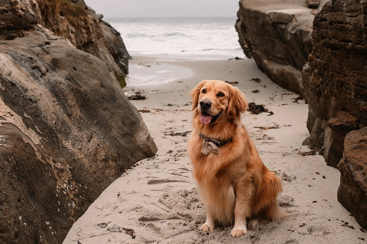 san-diego-photographer_0011.jpg