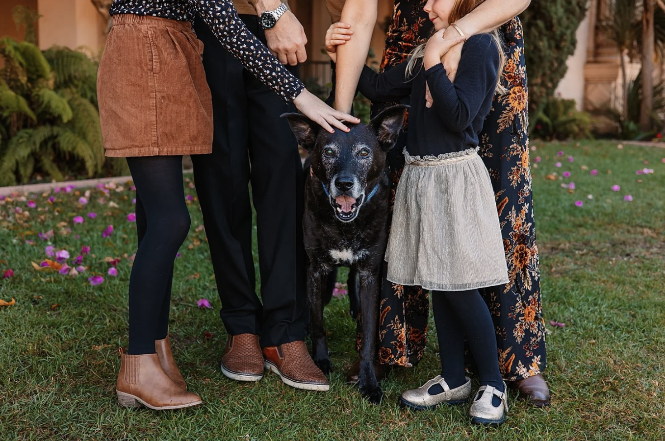 San Diego Pet and Family Photographer: Balboa Park