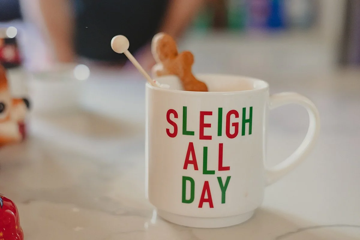 san-diego-in-home-christmas-mini-photo-sessions_0036.jpg