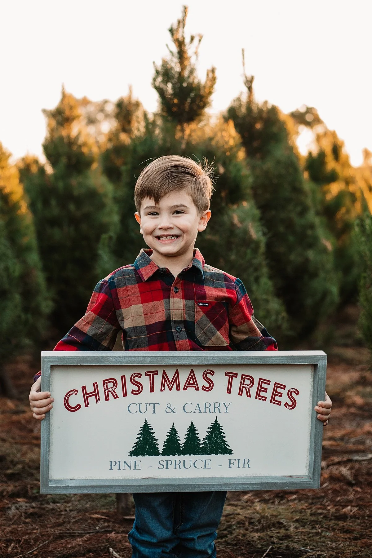 san-diego-christmas-tree-farm-mini-photo-shoot_0003.jpg