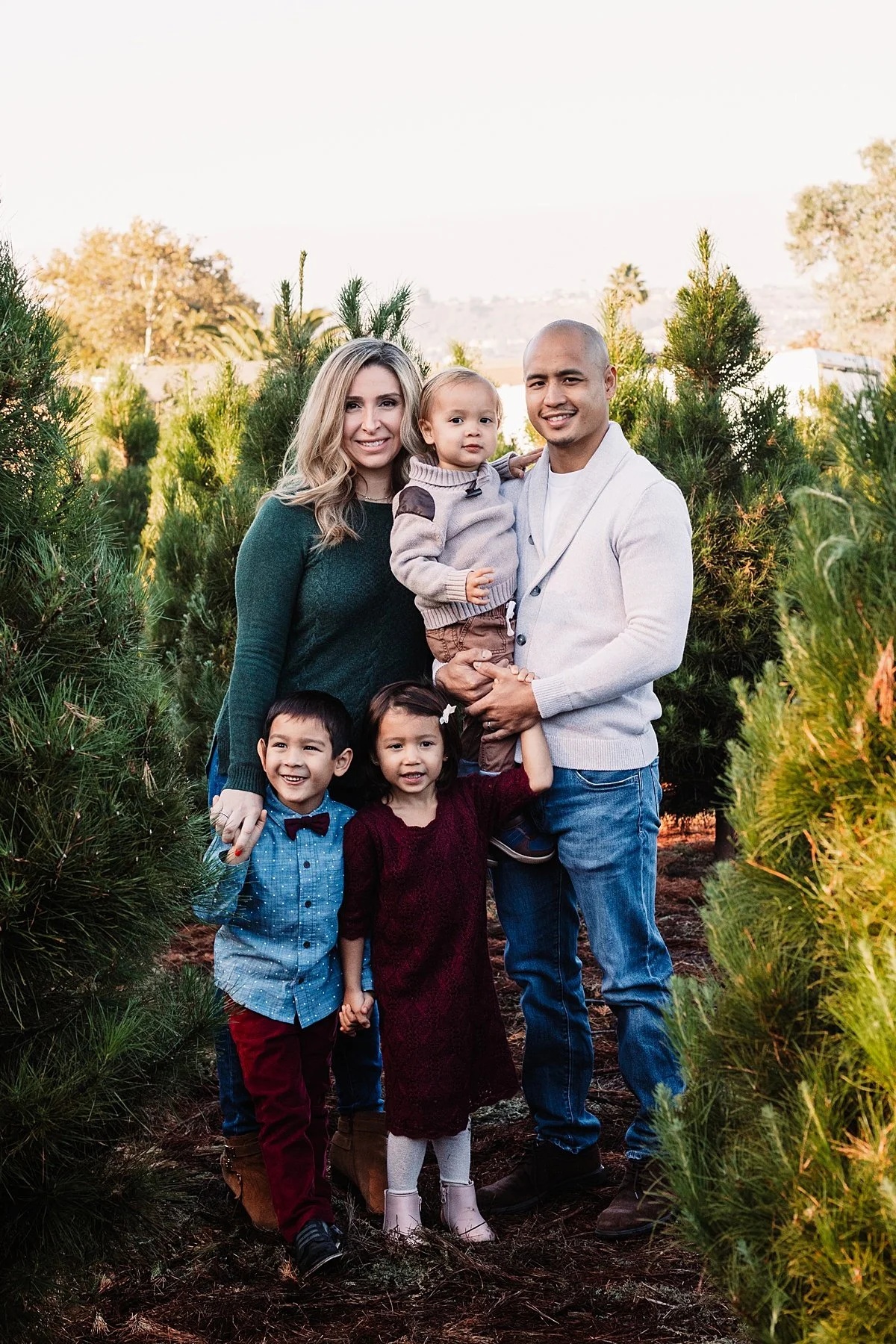 san-diego-christmas-tree-farm-mini-photo-shoot_0008.jpg