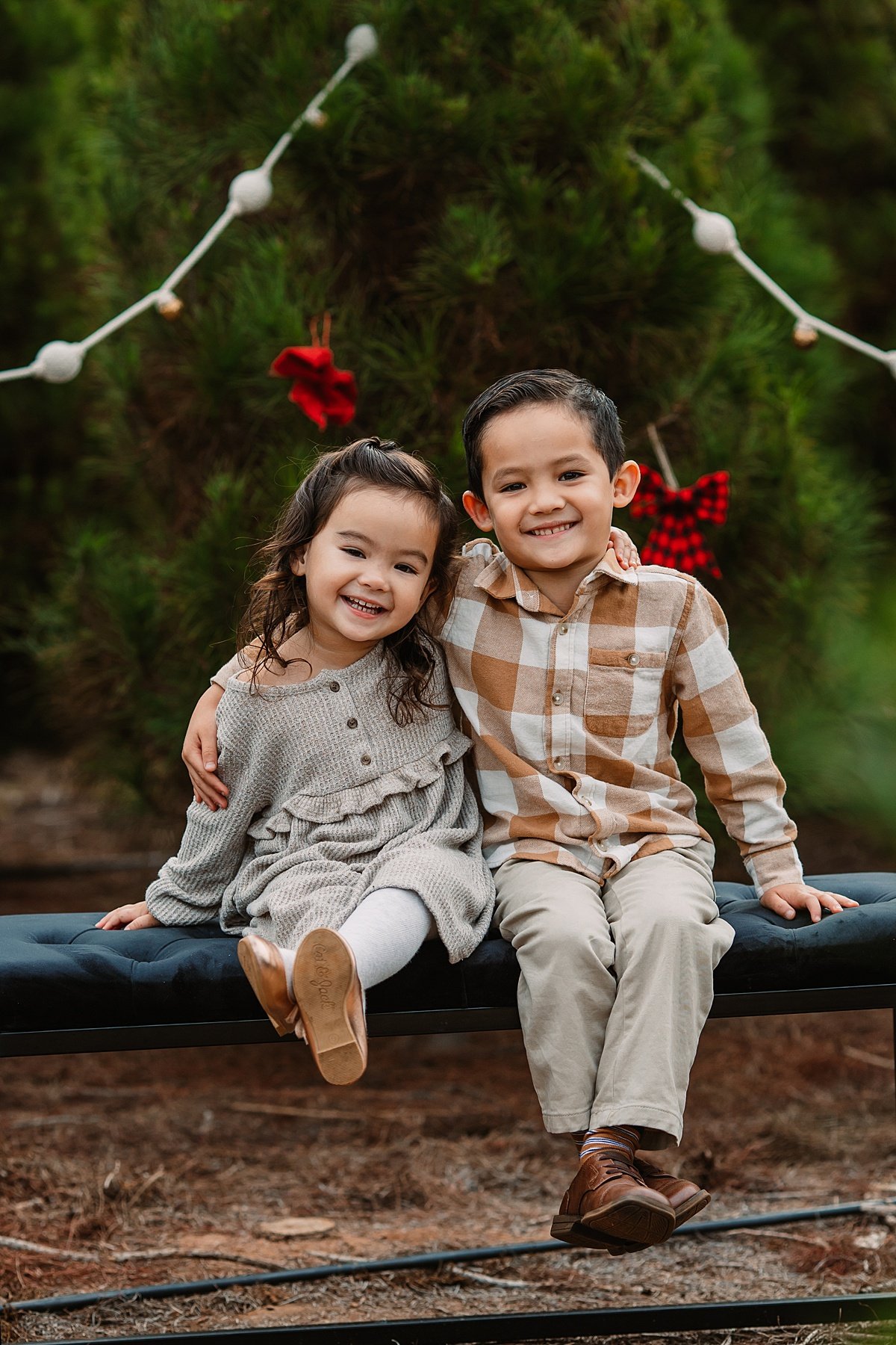 san-diego-christmas-tree-farm-mini-photo-shoot_0010.jpg