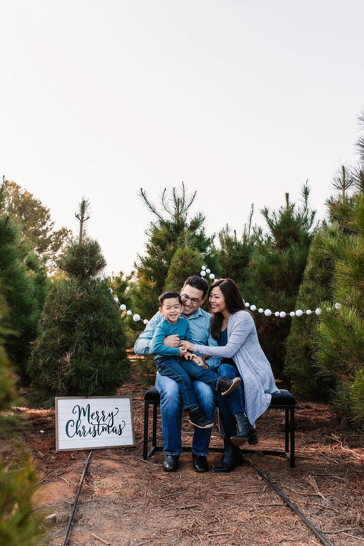 san-diego-christmas-tree-farm-mini-photo-shoot_0019.jpg