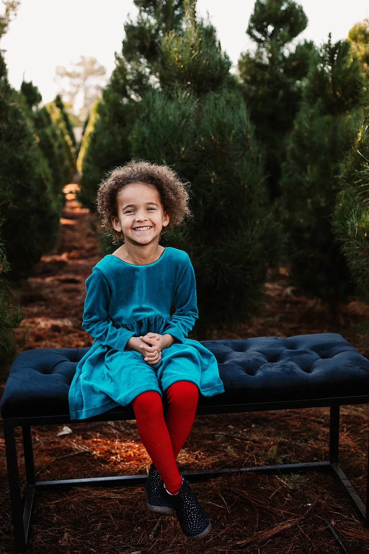 san-diego-christmas-tree-farm-mini-photo-shoot_0027.jpg