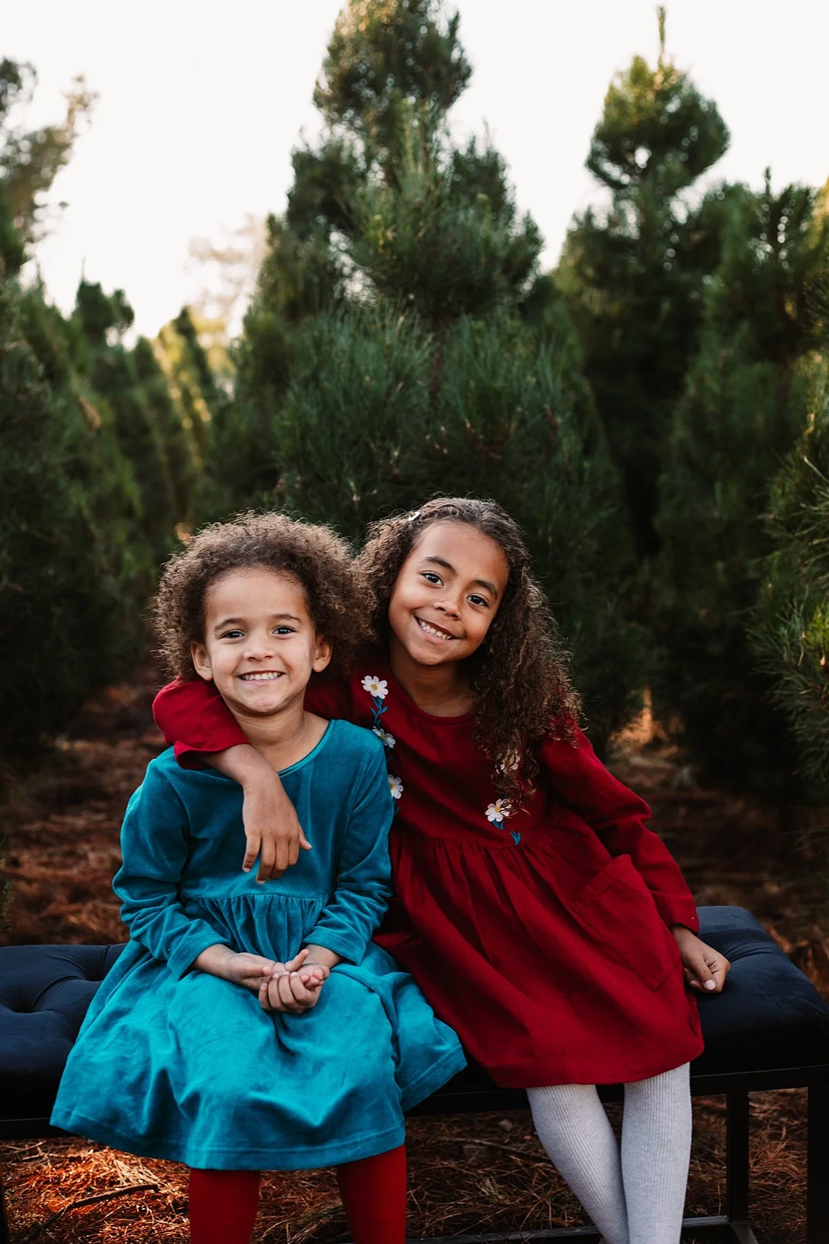 san-diego-christmas-tree-farm-mini-photo-shoot_0028.jpg