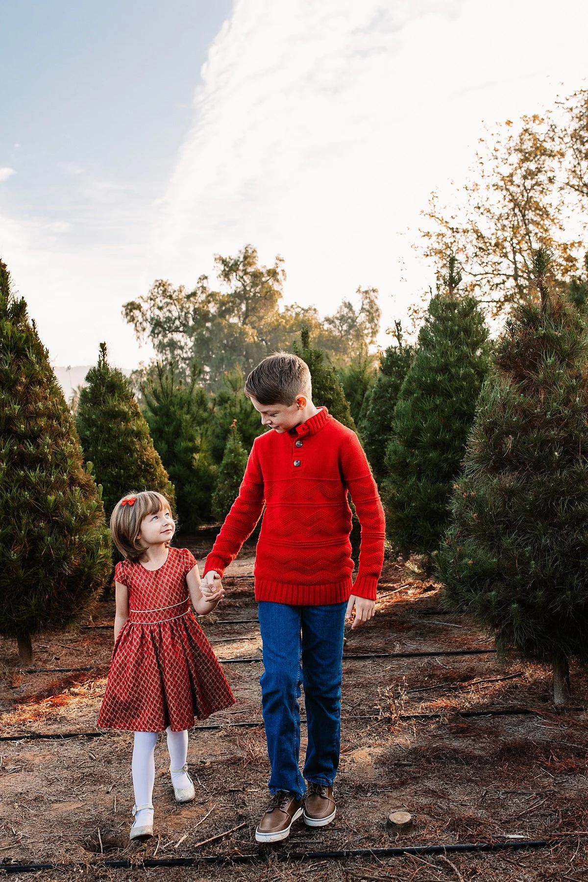 san-diego-christmas-tree-farm-mini-photo-shoot_0037.jpg