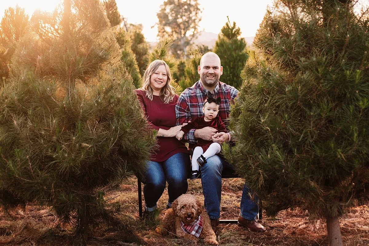 san-diego-christmas-tree-farm-mini-photo-shoot_0039.jpg