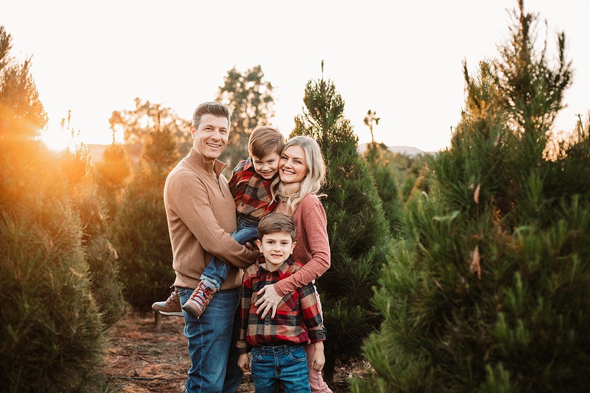 Christmas Tree Farm Mini Sessions | San Diego Family Photographer