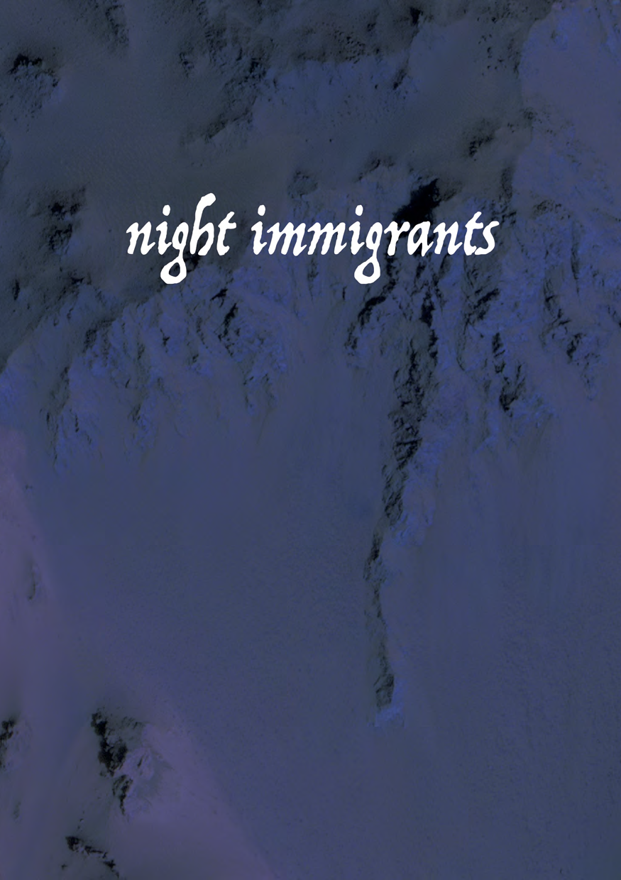 『night immigrants』