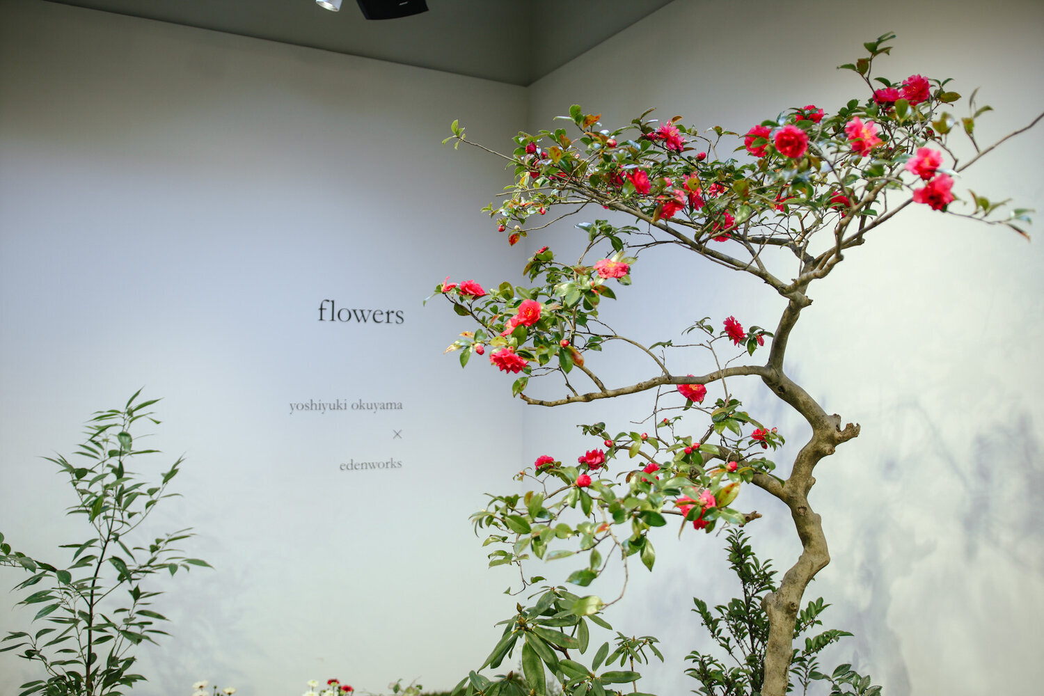 奥山由之 × edenworksによる企画展「flowers」渋谷PARCOにて開催