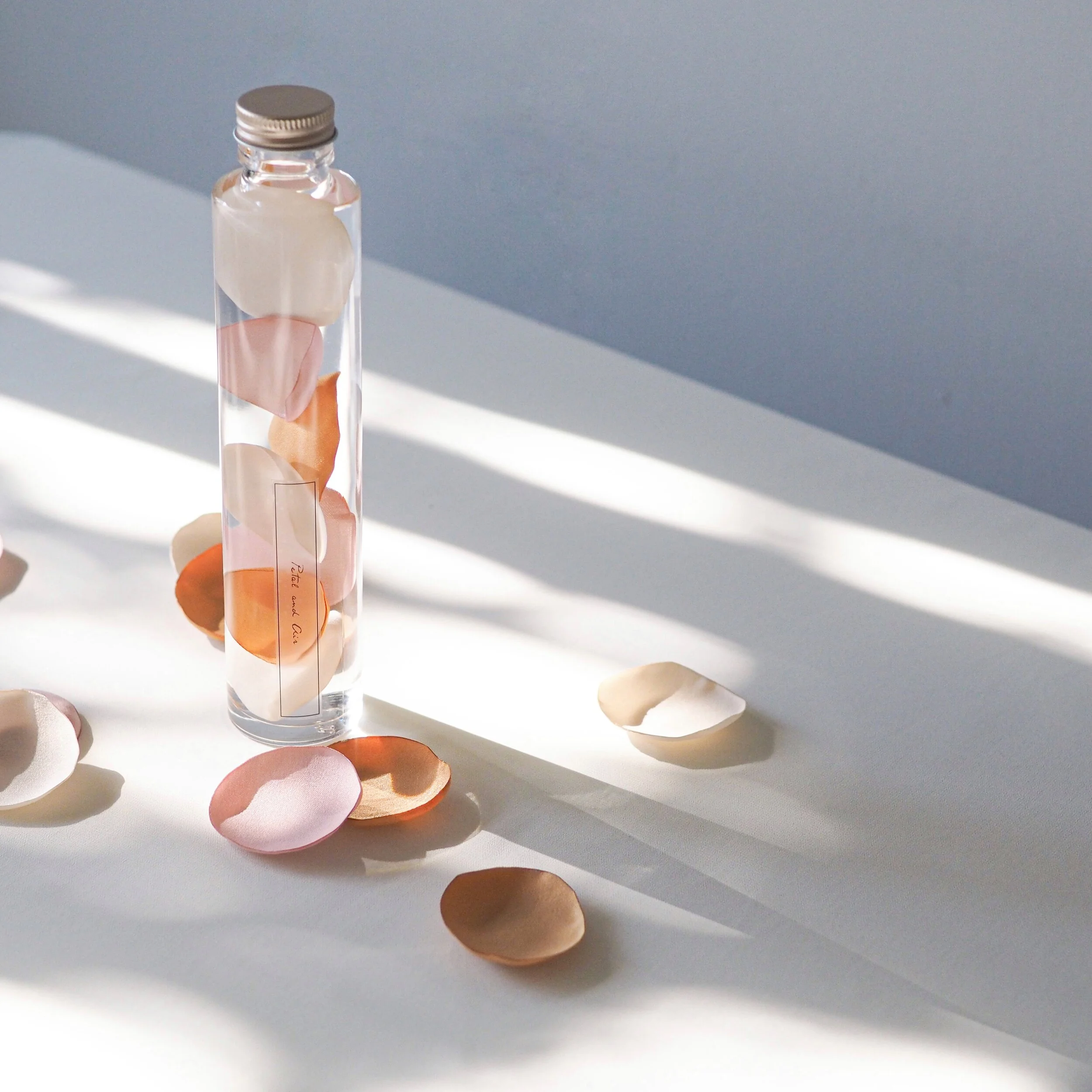 IMG_3228 - みーちゃん.JPG