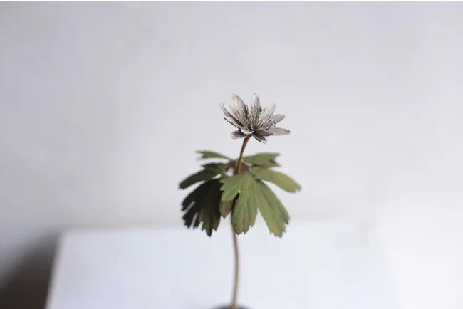 モリソン小林 作品 モリソン小林 作品展 