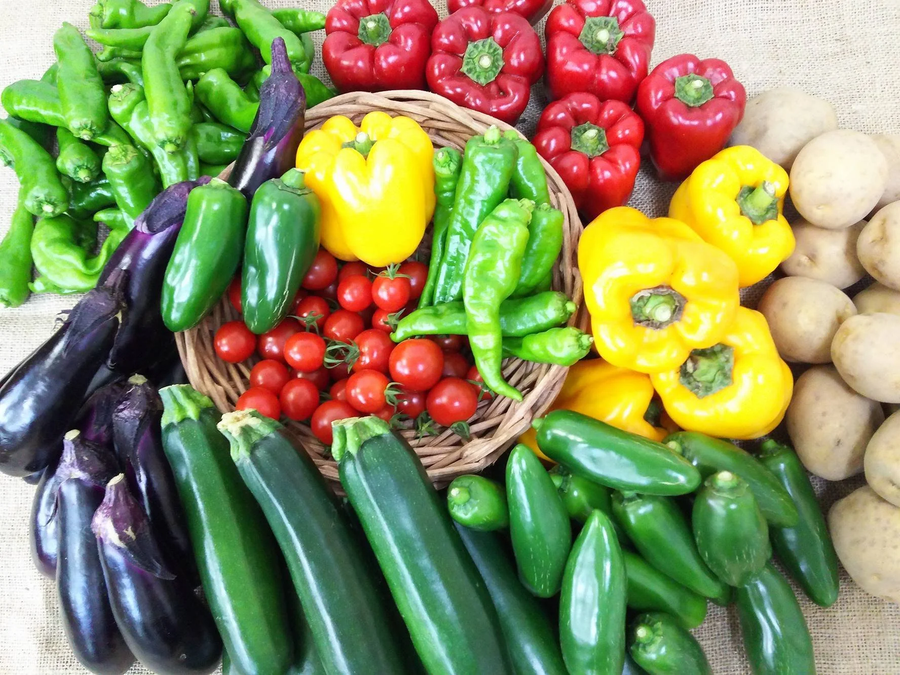 yasai  - 瀬戸山匠.jpg