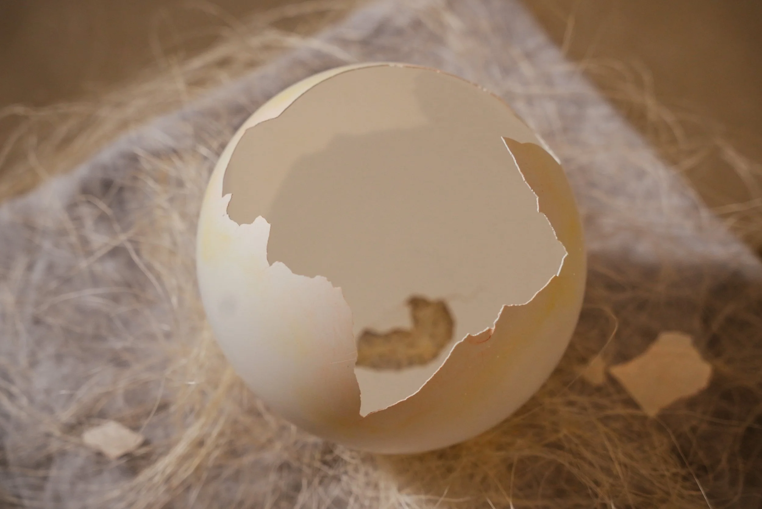 フォトレポート hello,popup in キャットストリート HIBICA神宮前『loom4 3rd exhibition』