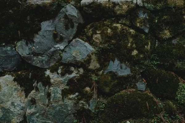brand-image_6b7dd675-9383-4d63-aaef-92b8556308c1.jpg