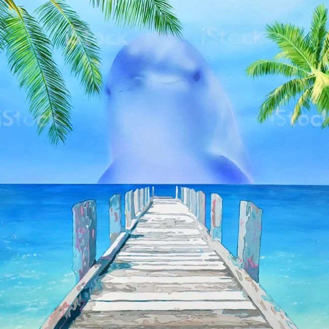 sub2.jpg