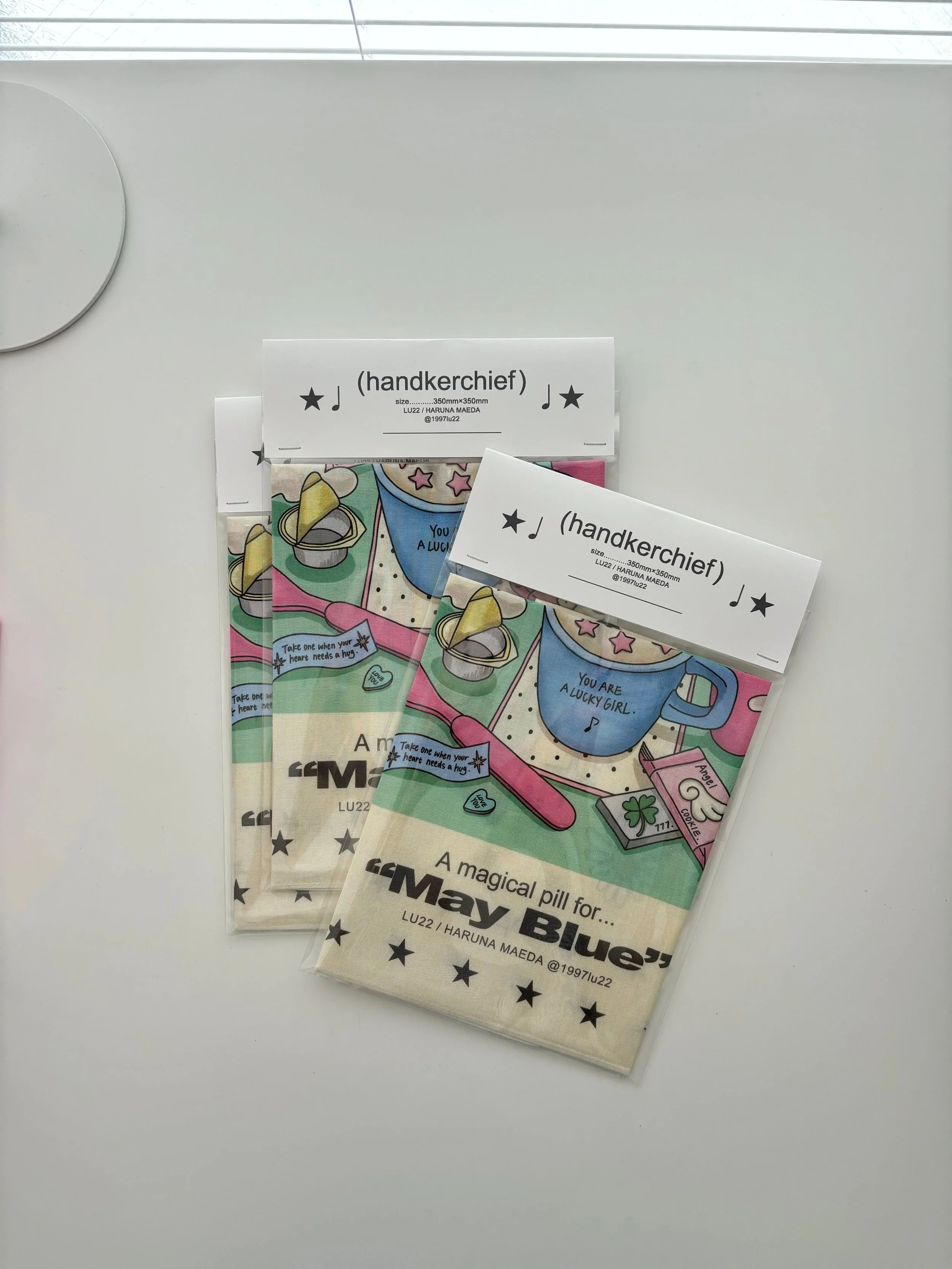 image (3)のコピー.jpeg