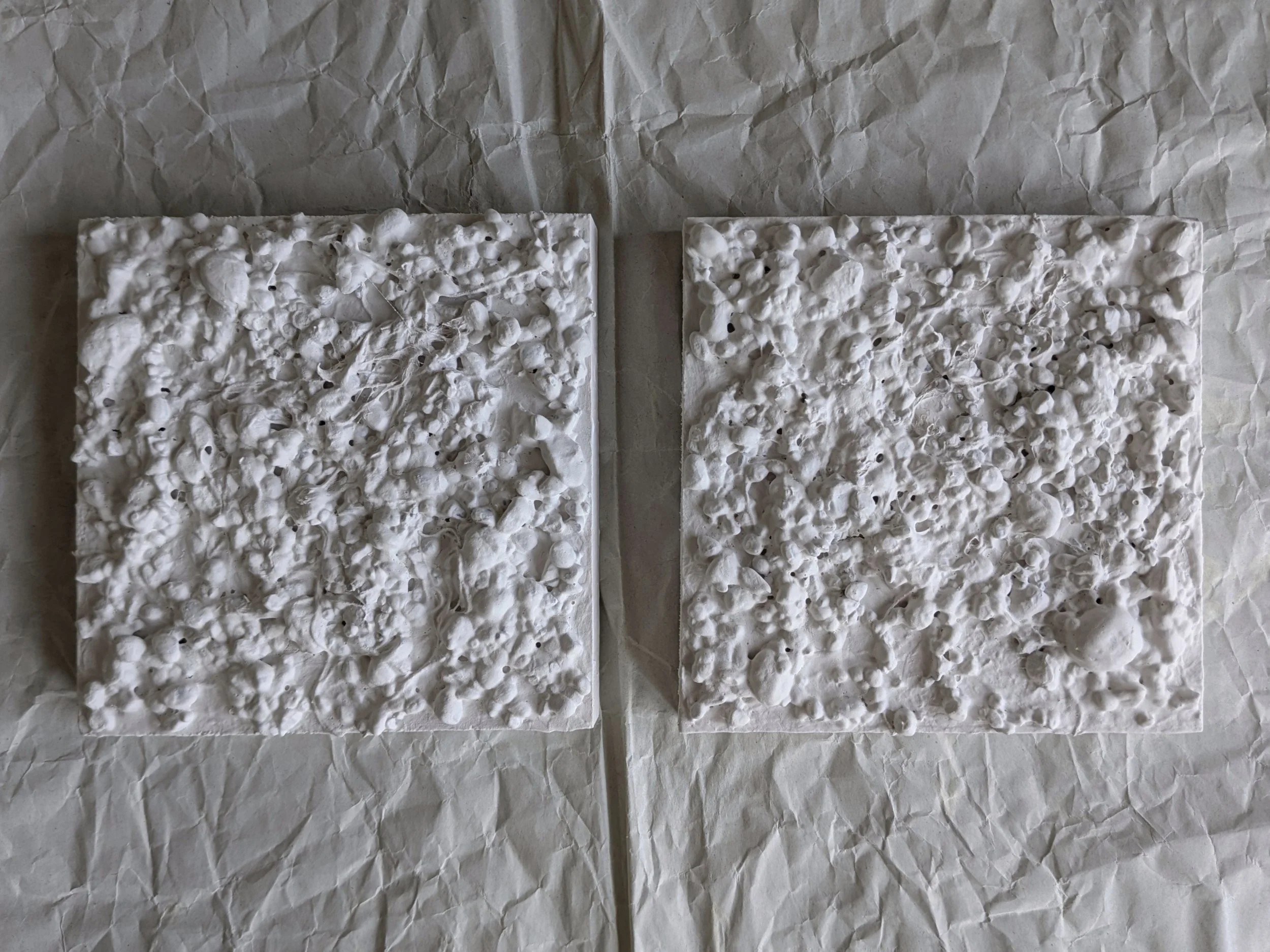 susurrus'25 BLACK NOISE.jpg