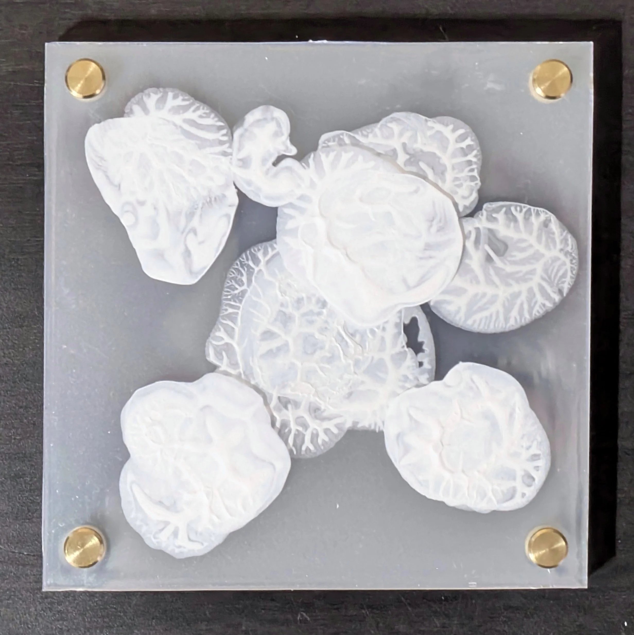 receptor primitive cell-synchronicity Ⅰjpg.jpg