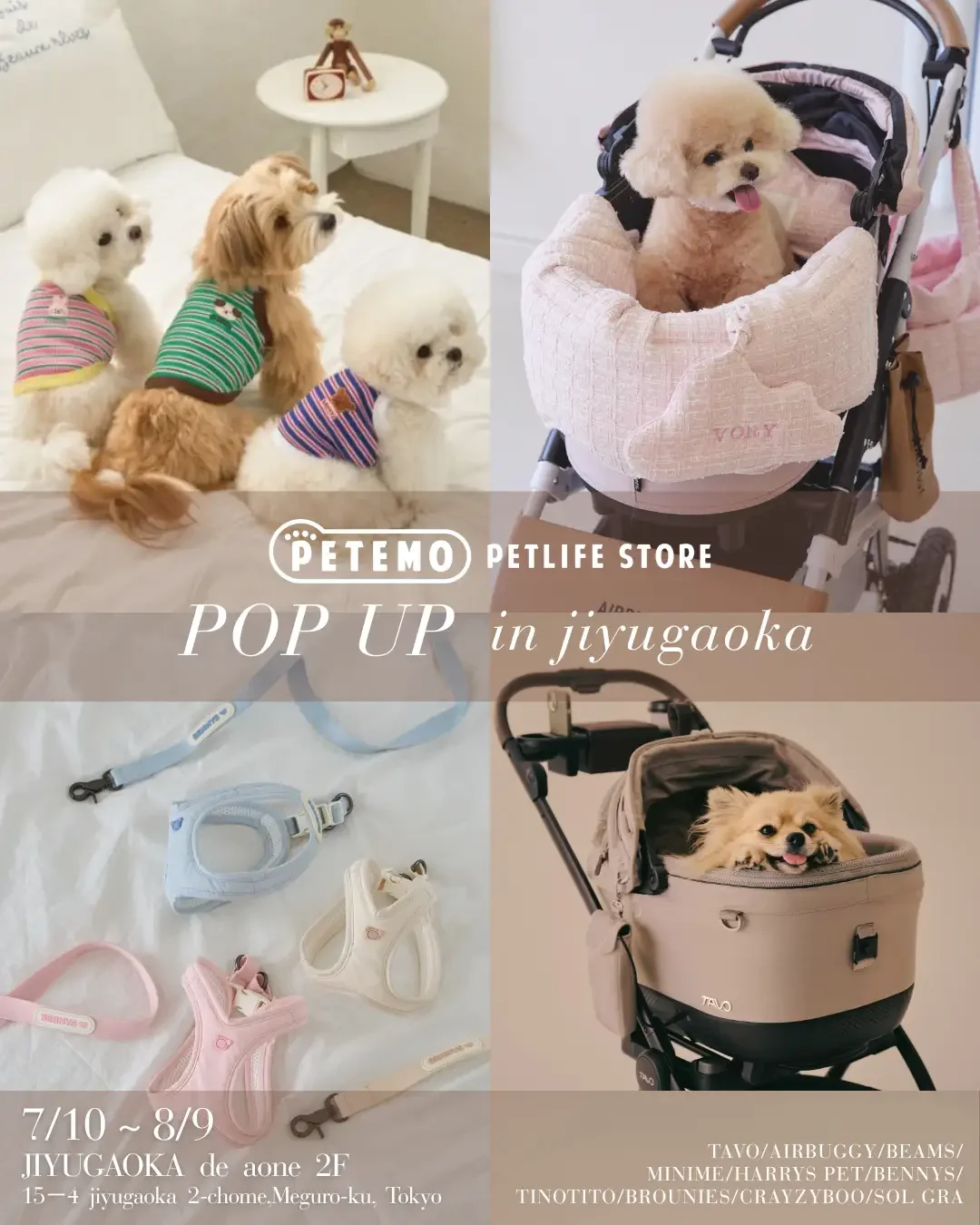 愛するペットのため♡期間限定！イオンペット初の「ペテモ　ポップアップストア」を自由が丘にオープン！ 