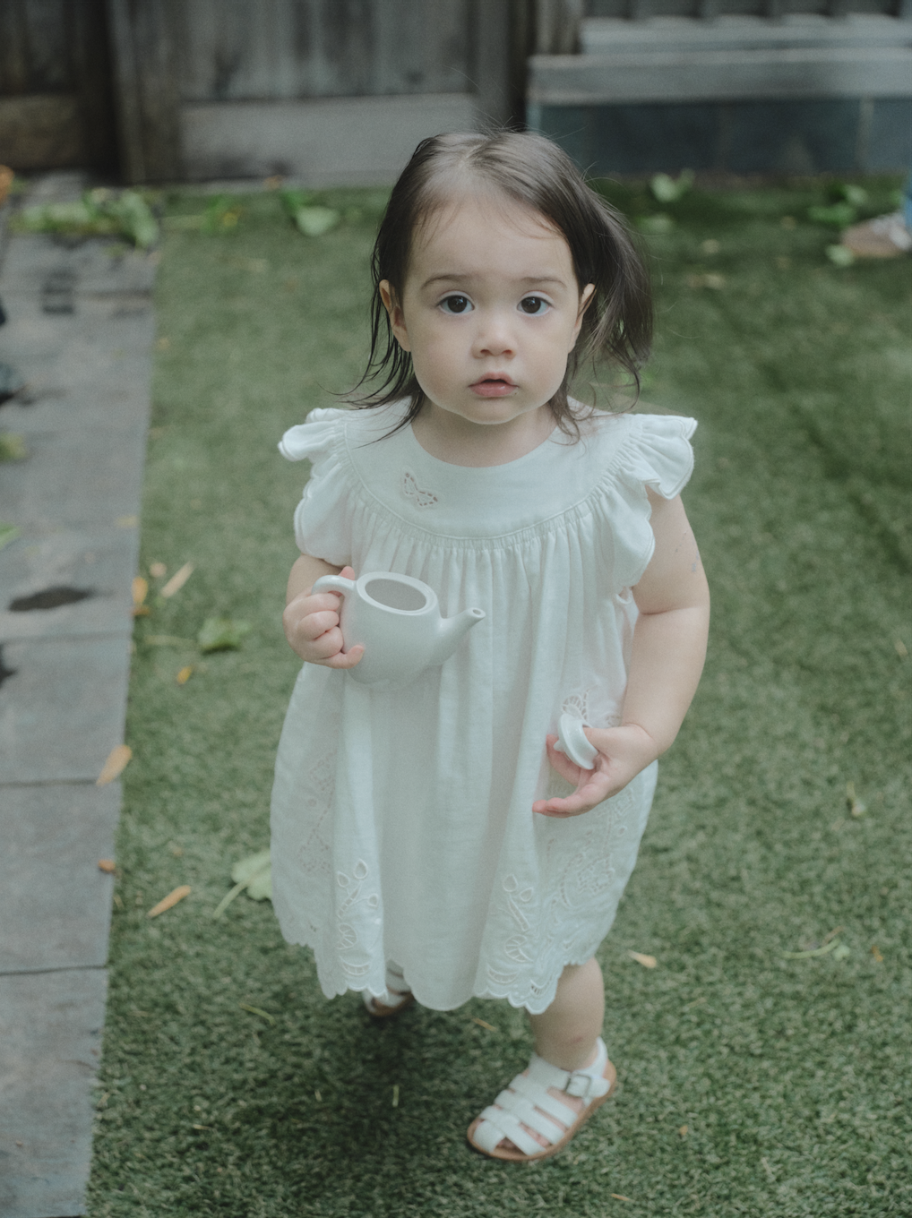 Butterfly Garden Dress