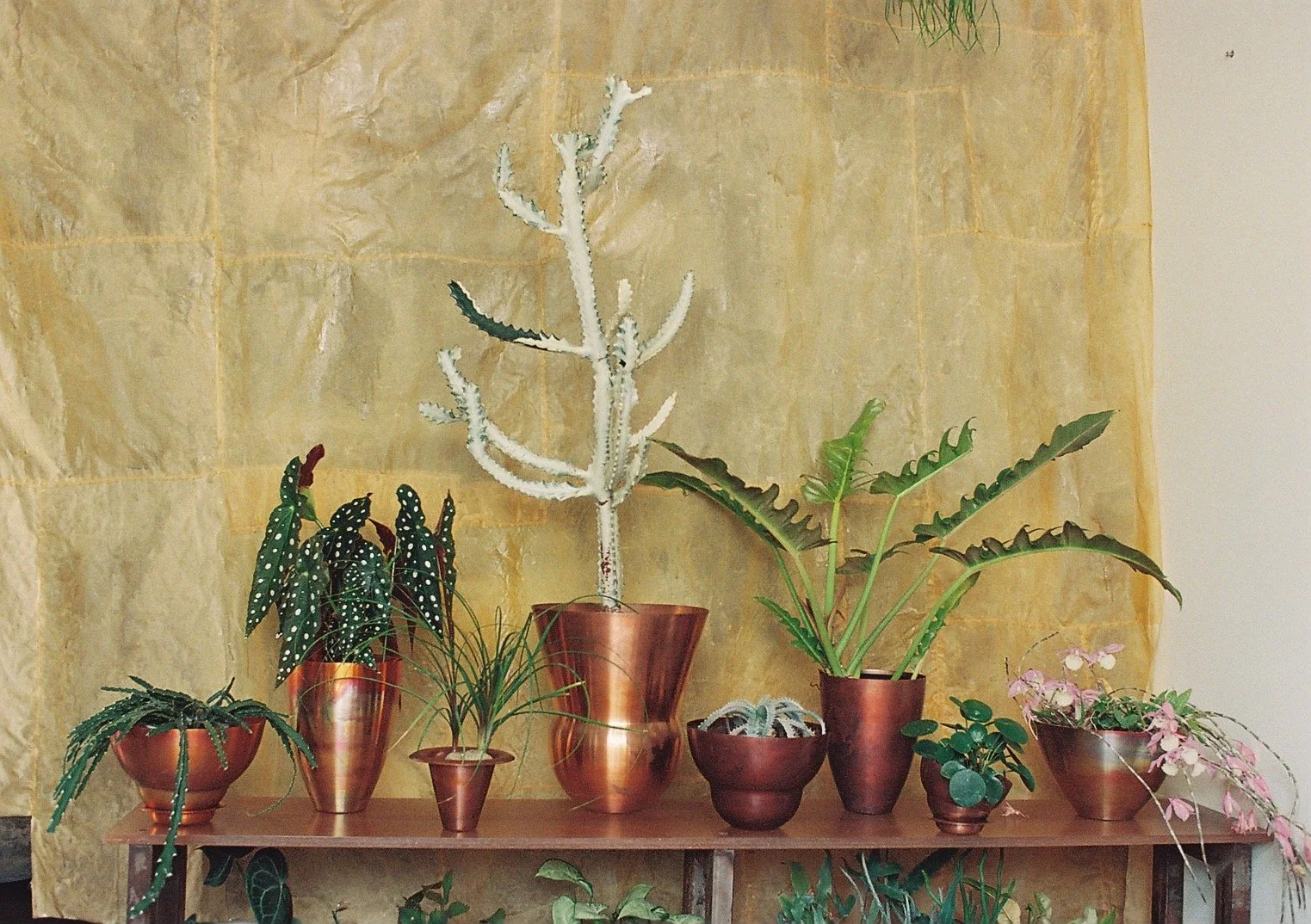 ヴィンテージや現代作家のフラワーベース】日本橋兜町「coin」に