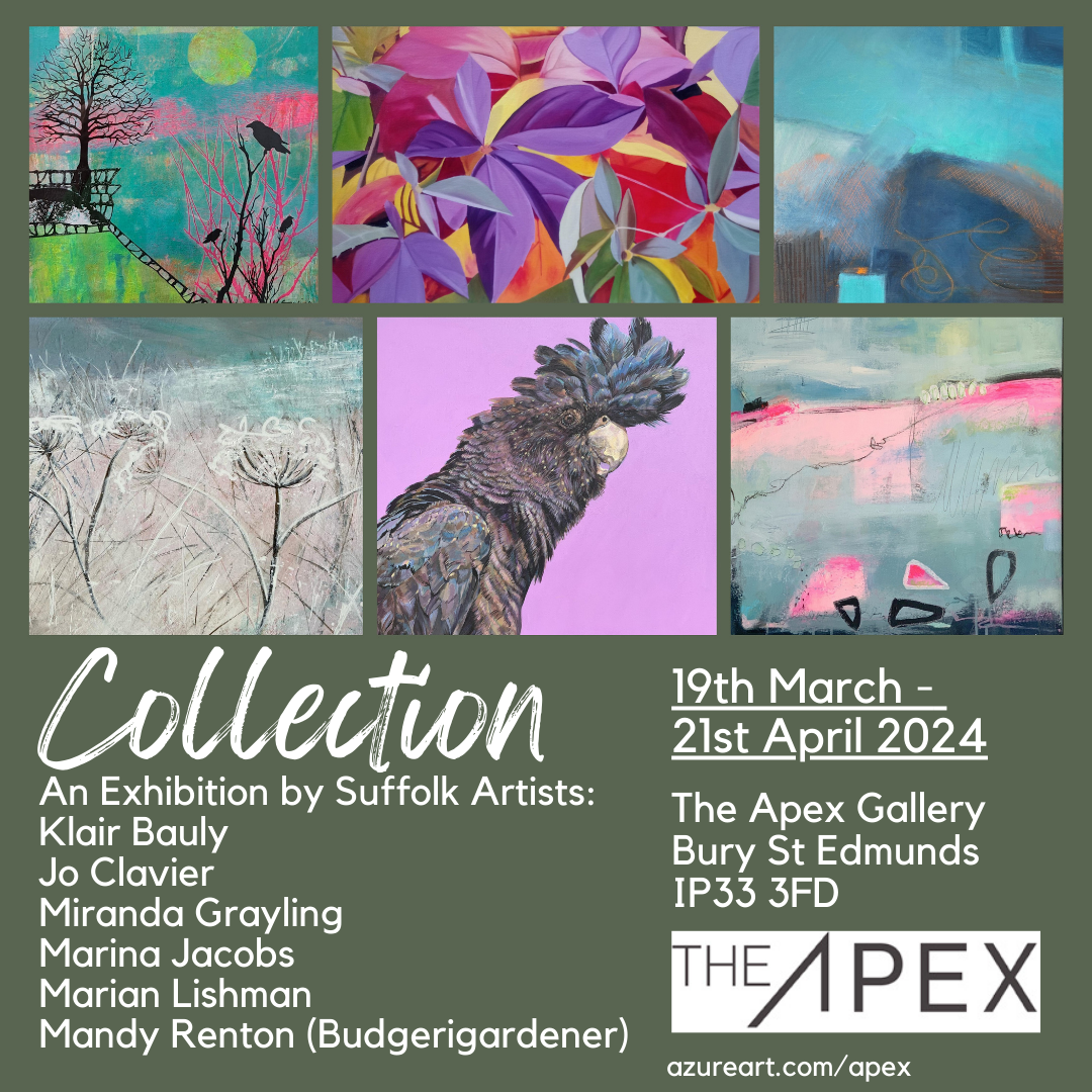 Collection Exhibition The Apex Gallery