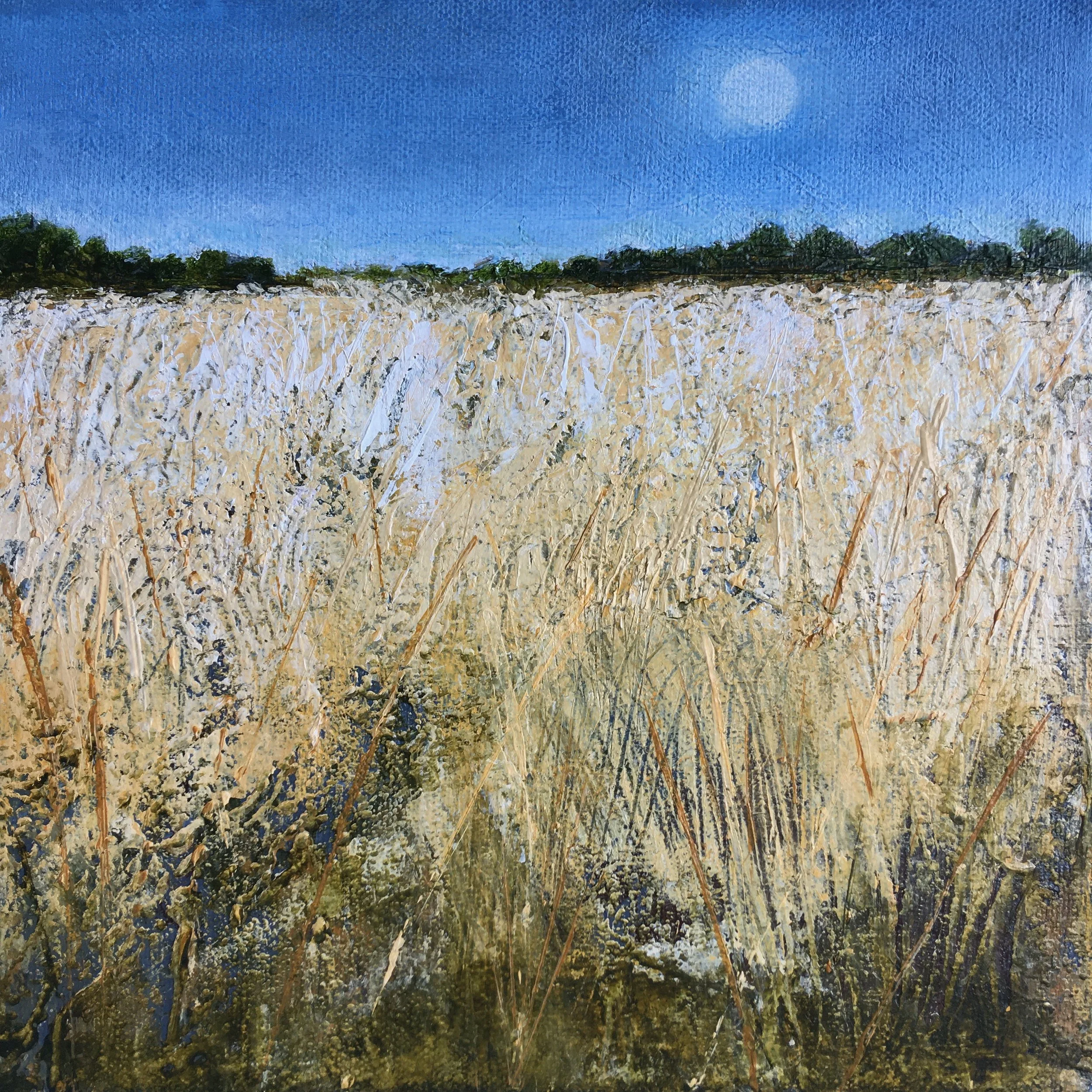Summer Harvest Moon Giclee Print Klair Bauly.jpeg