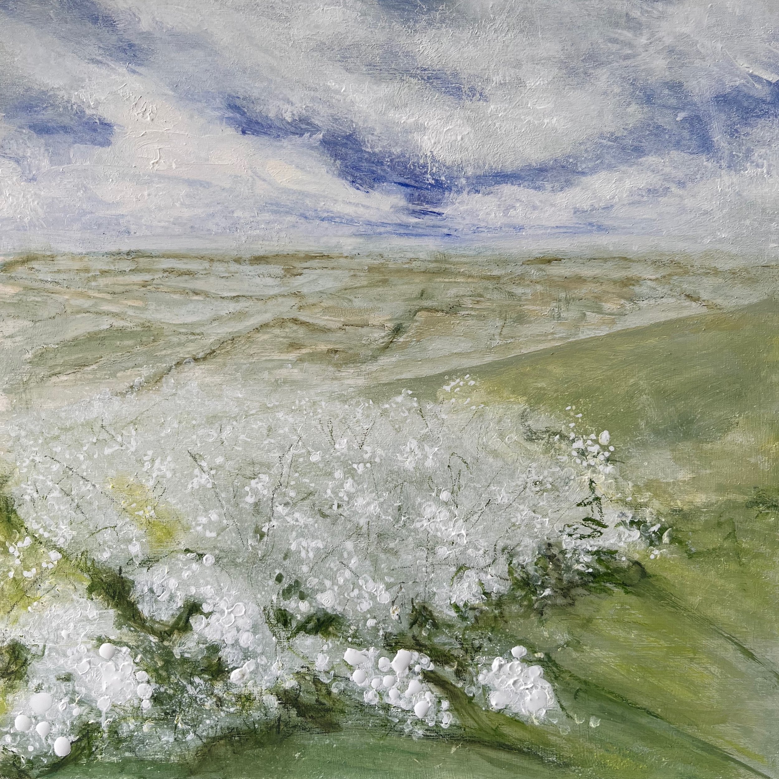 Up on the Downs Klair Bauly.jpeg