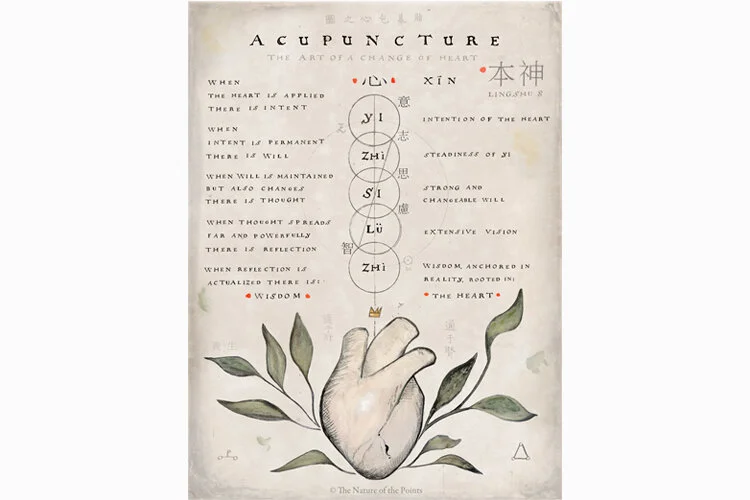 The art of the Heart