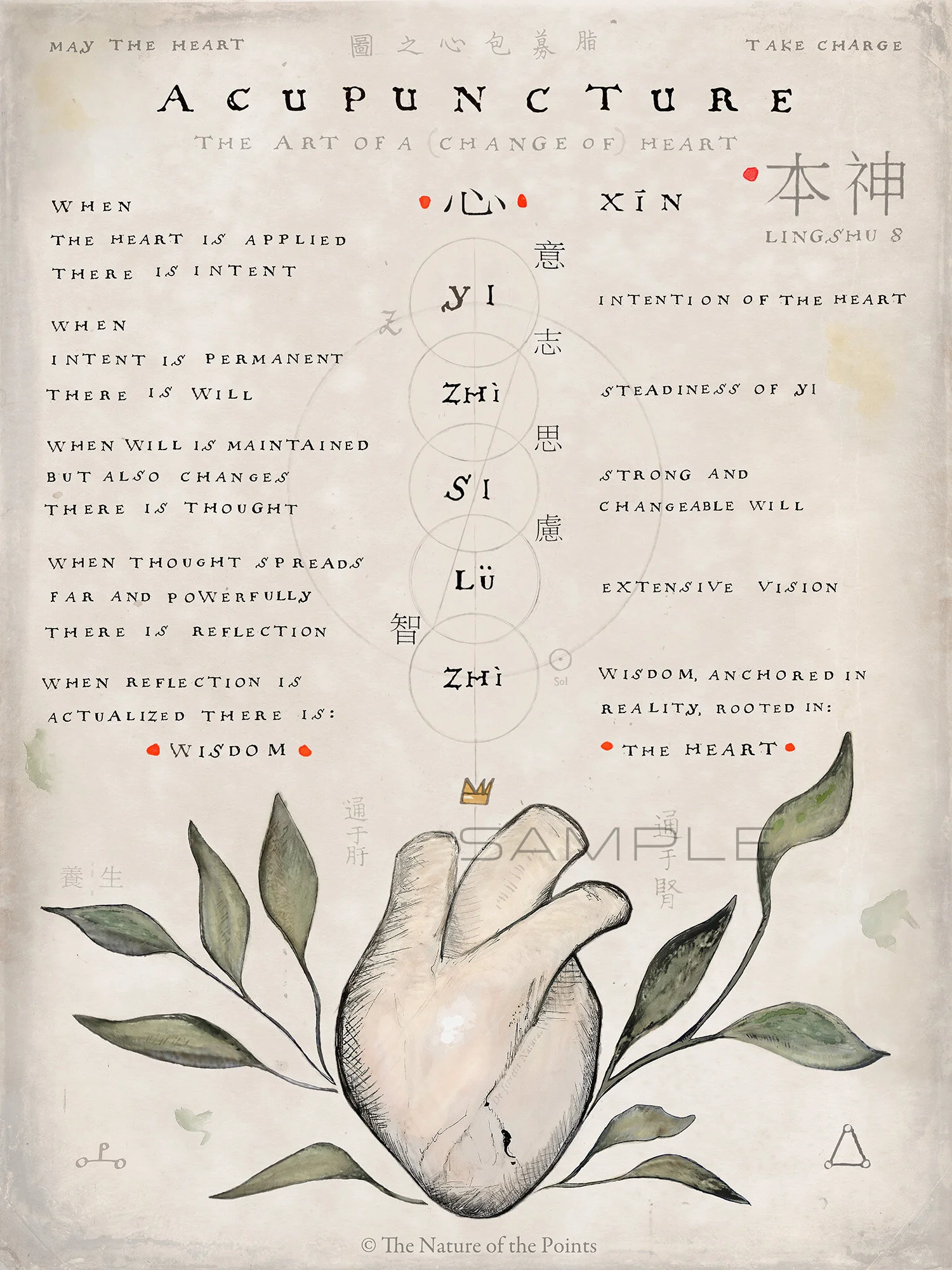 The art of the Heart