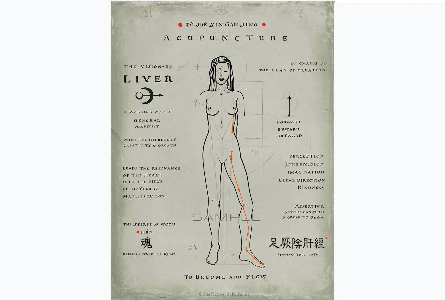 Meridian poster VIII