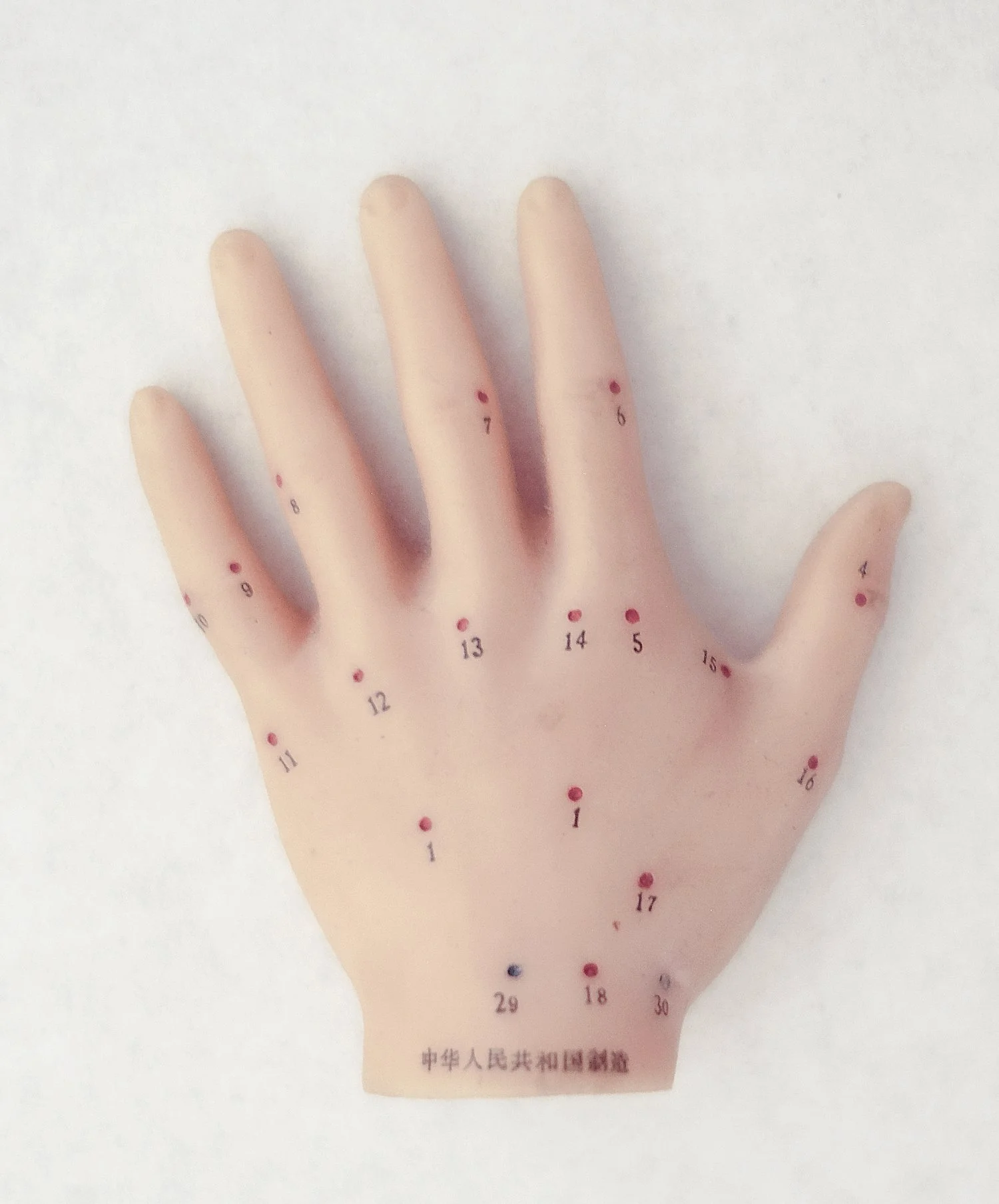 hand 1 klein.jpg