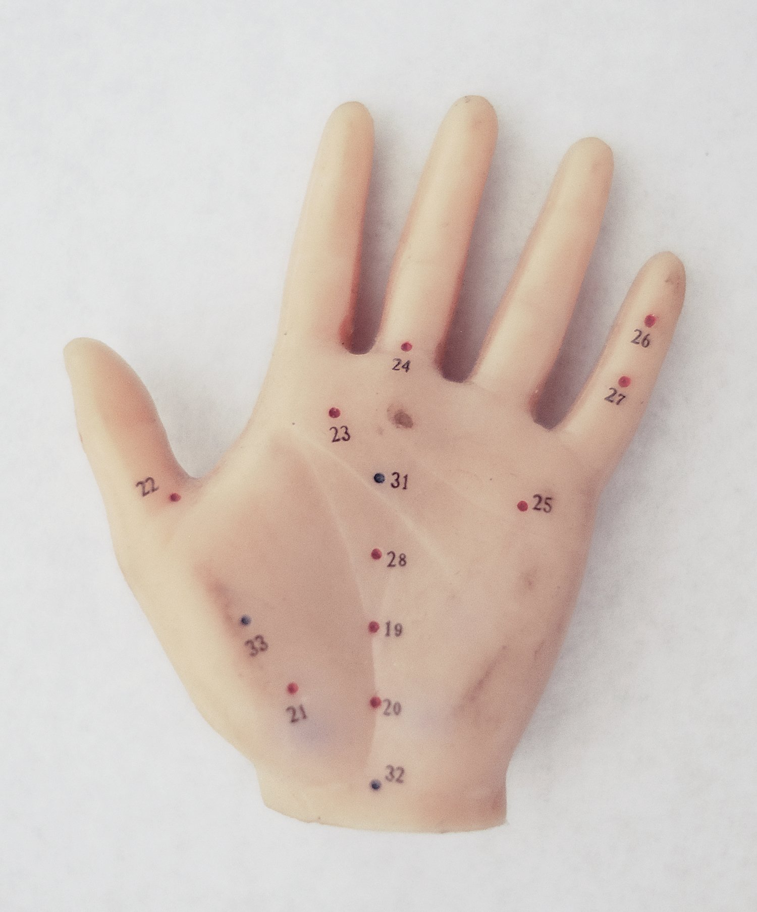 hand 12 klein.jpg