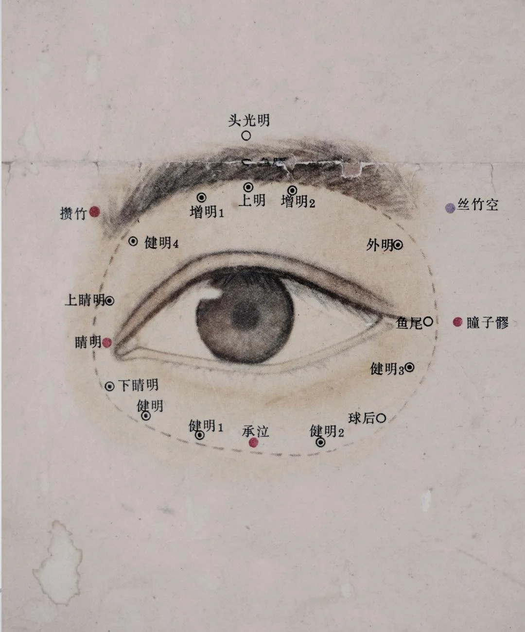 Your vintage questions, answered