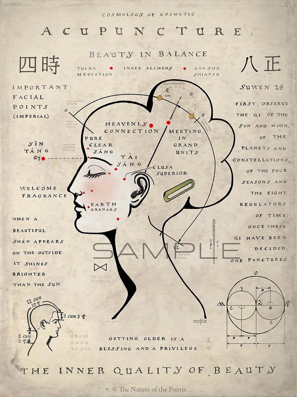 Cosmology of cosmetic acupuncture Acupuncture Acupressure Cupping Moxibustion Moxa Guasha  5 elements Channels Vessels Yin yang Zangfu Hijama Pathways Reiki Yoga TCM CCM Points chart Meridian chart