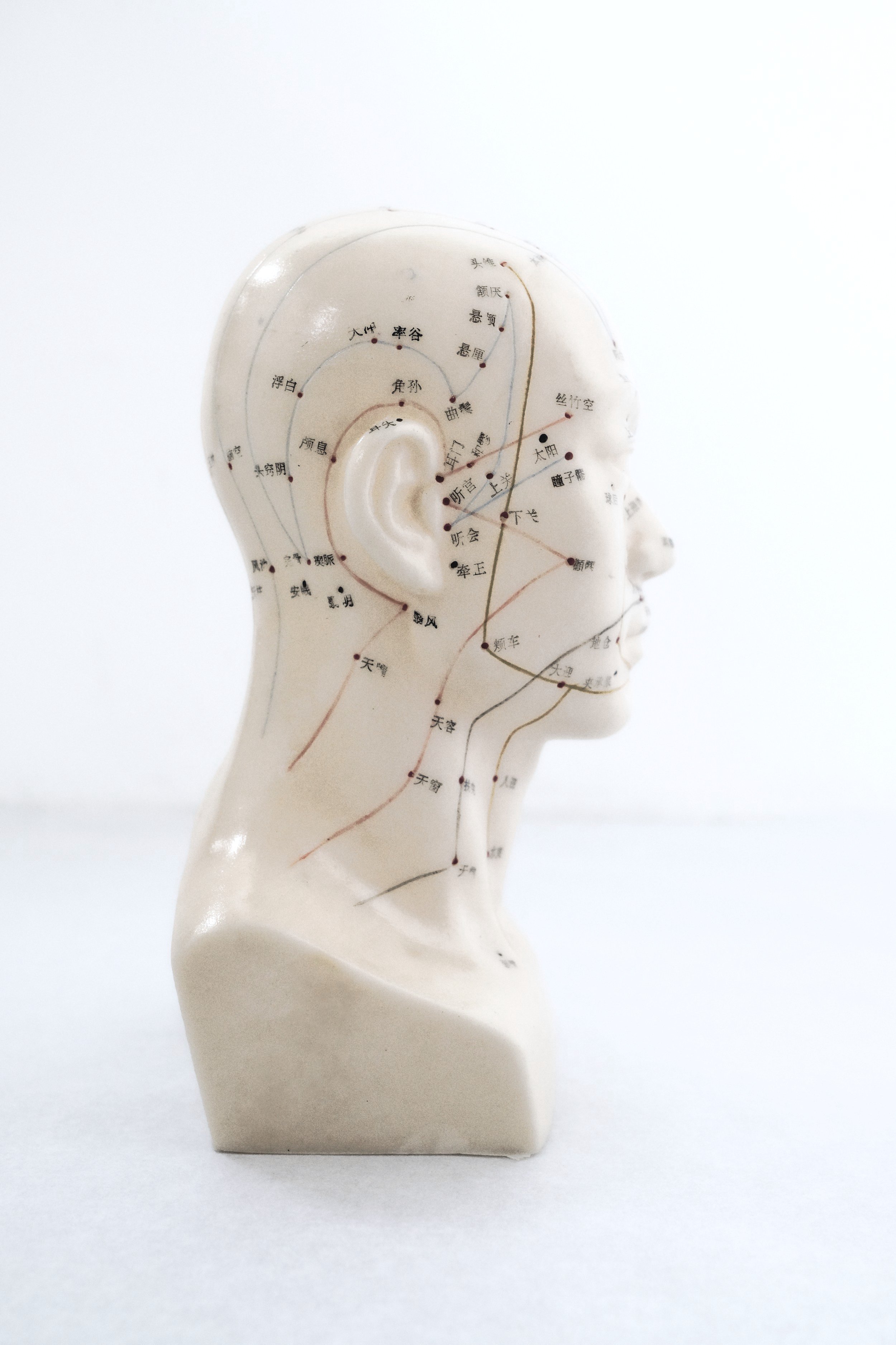 head+2%2B.jpg
