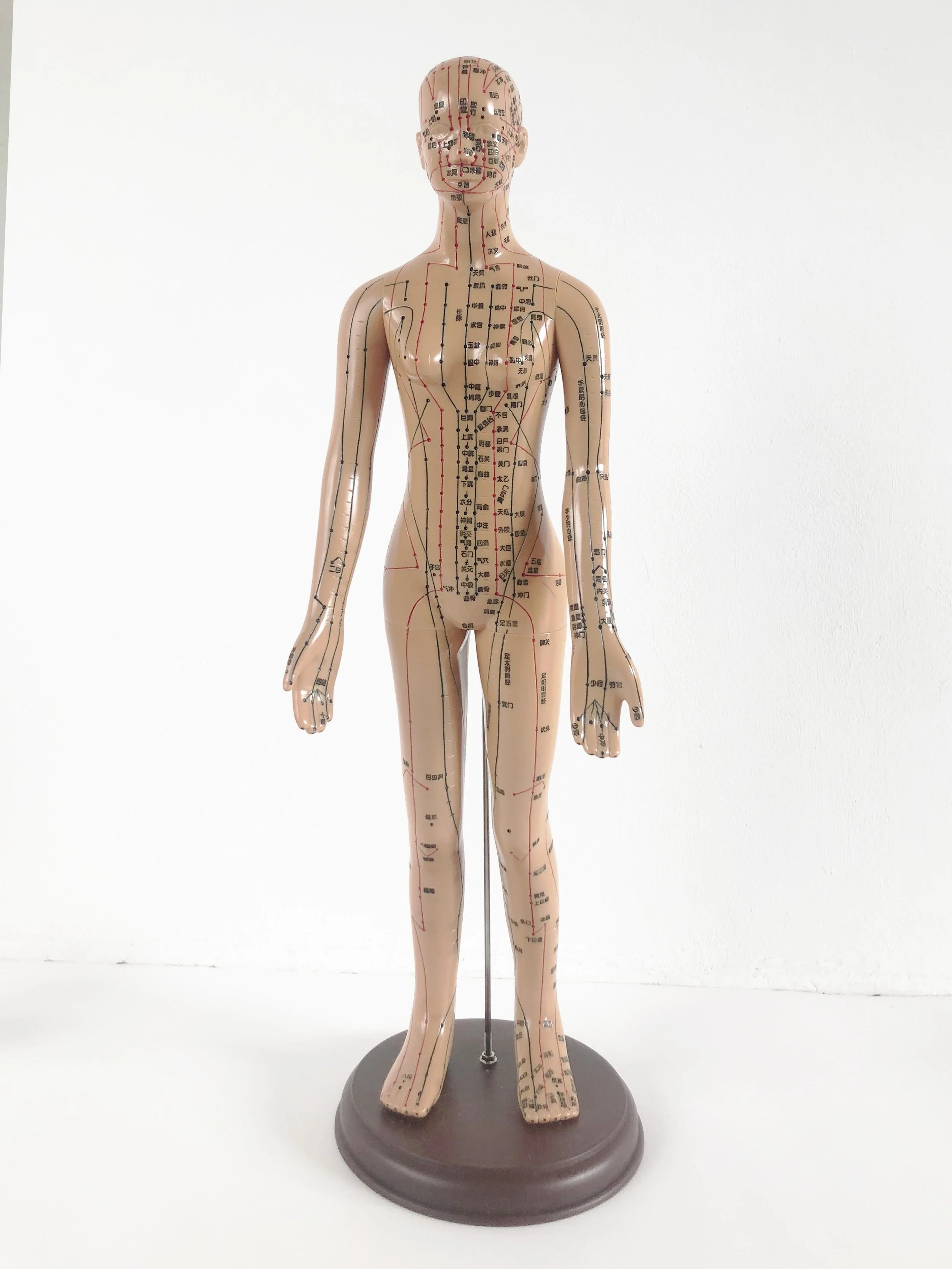 aculady 2 Acupuncture.jpg