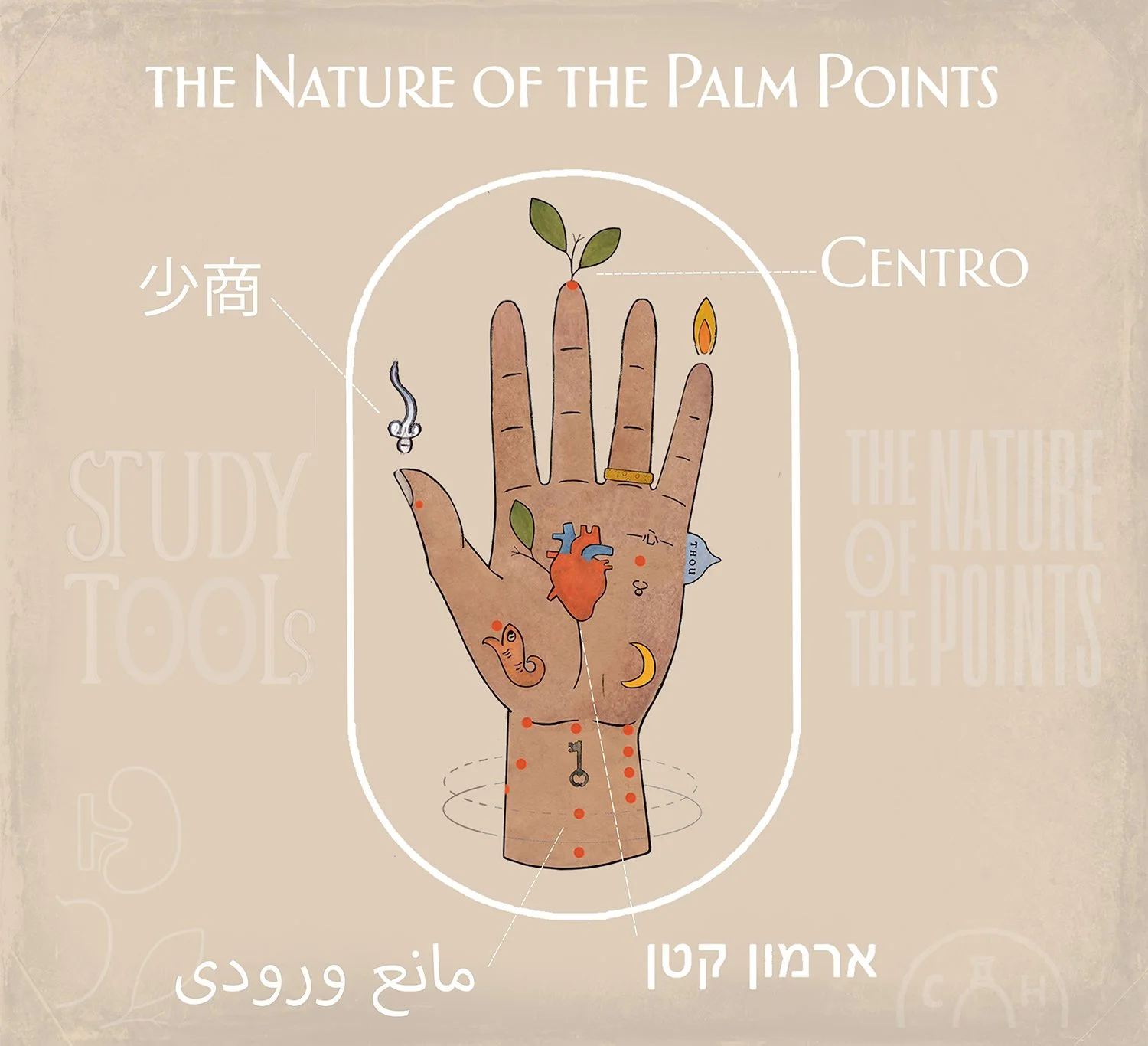 ACU Palmistry