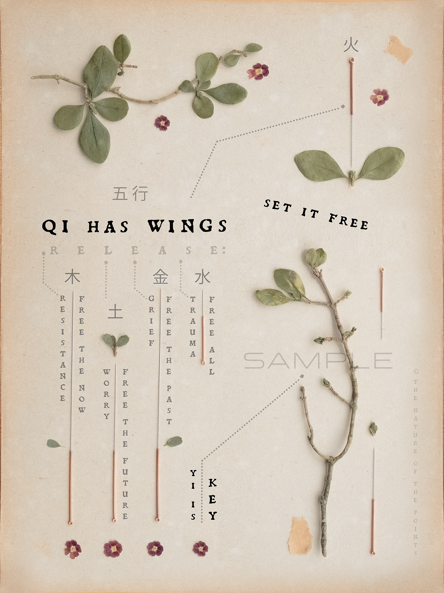acupuncture free the qi red .png